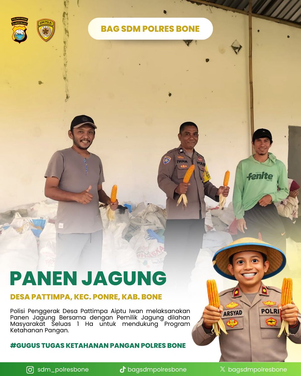 ResorBone's tweet photo. Polisi Penggerak Desa Pattimpa Aiptu Iwan melaksanakan Panen Jagung Bersama dengan Pemilik Jagung dilahan Masyarakat Seluas 1 Ha untuk mendukung Program Ketahanan Pangan.  

#KETAHANANPANGAN #SWASEMBADAPANGAN #POLRI #POLDASULSEL #POLRESBONE
#POLSEKPONRE https://t.co/86WEwjeQbC