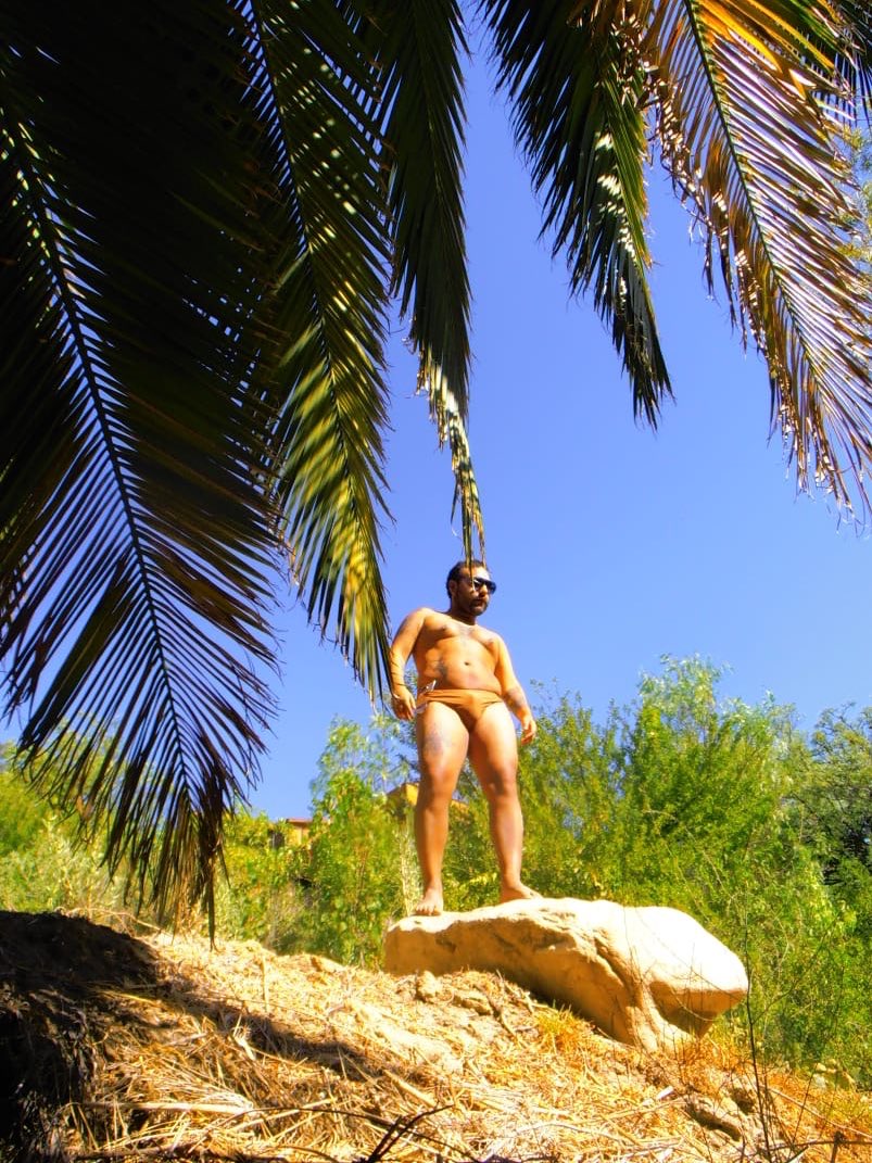 🐦‍🔥🐦‍🔥🐦‍🔥