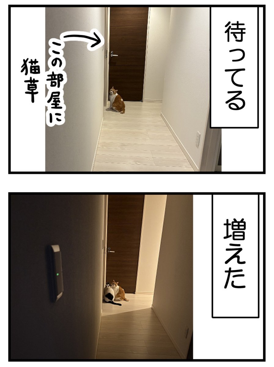 (2/2) 