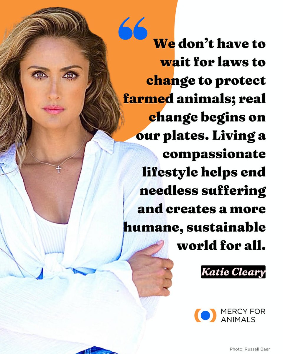 Mercy For Animals tweet media