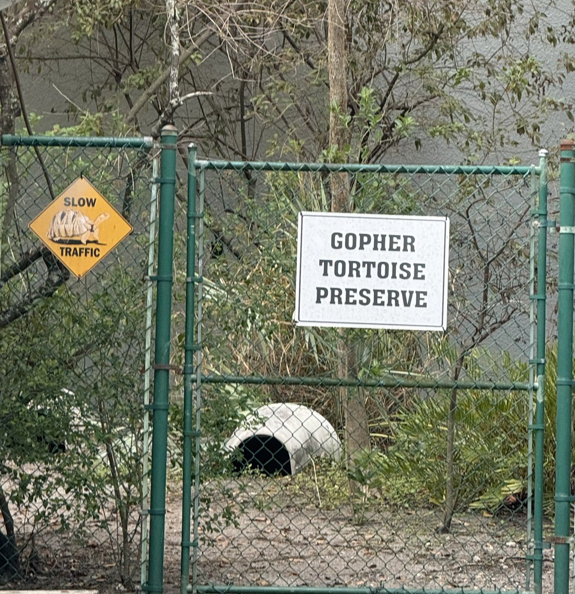 Magnet and Innovative Programs tweet media