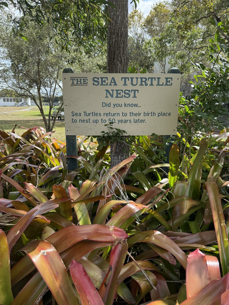 Magnet and Innovative Programs tweet media