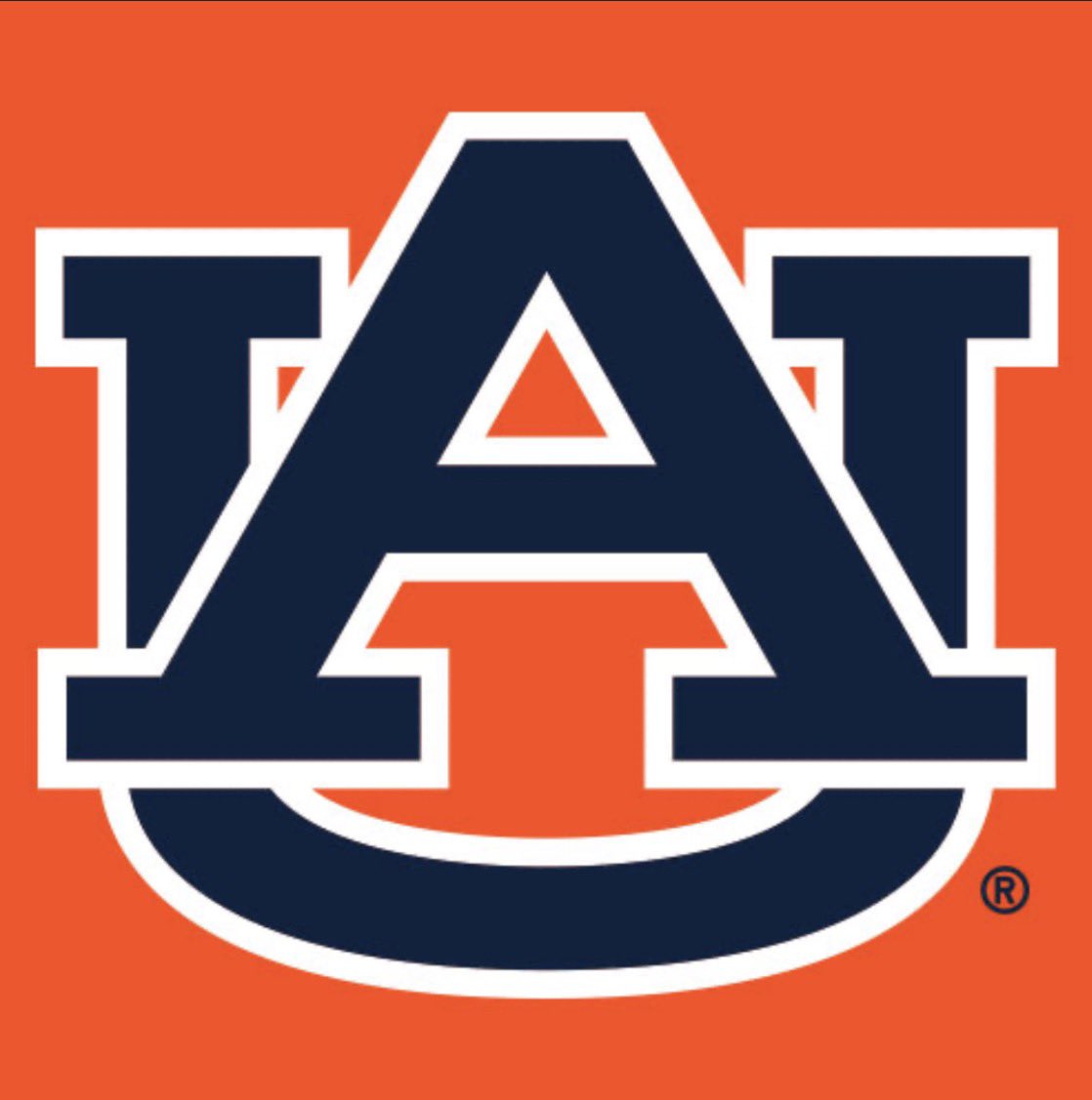 Theo Schott tweet media