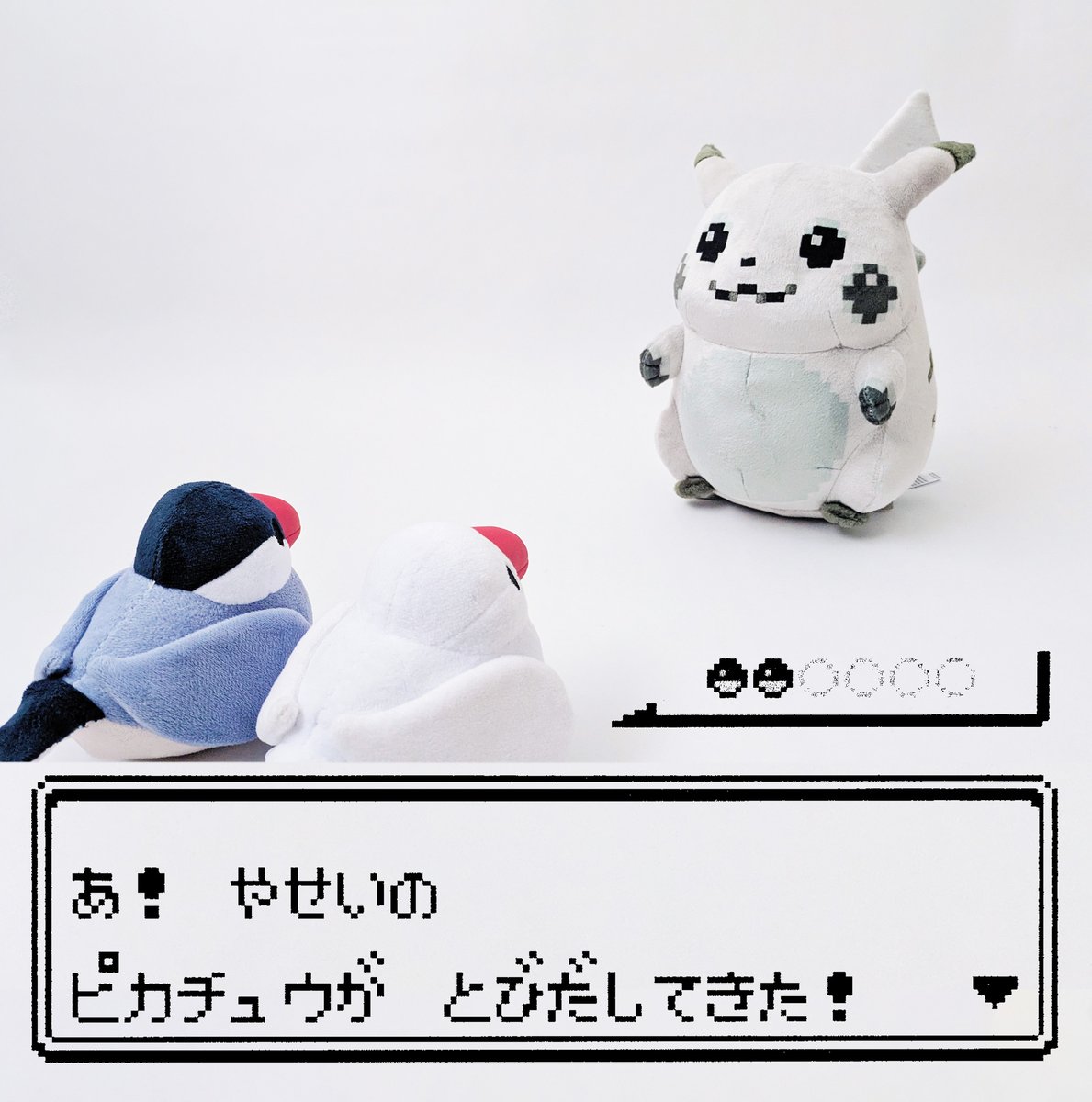 はじまりのピカチュウがさっそく届いたのでつれぶんとご対面^( 'Θ