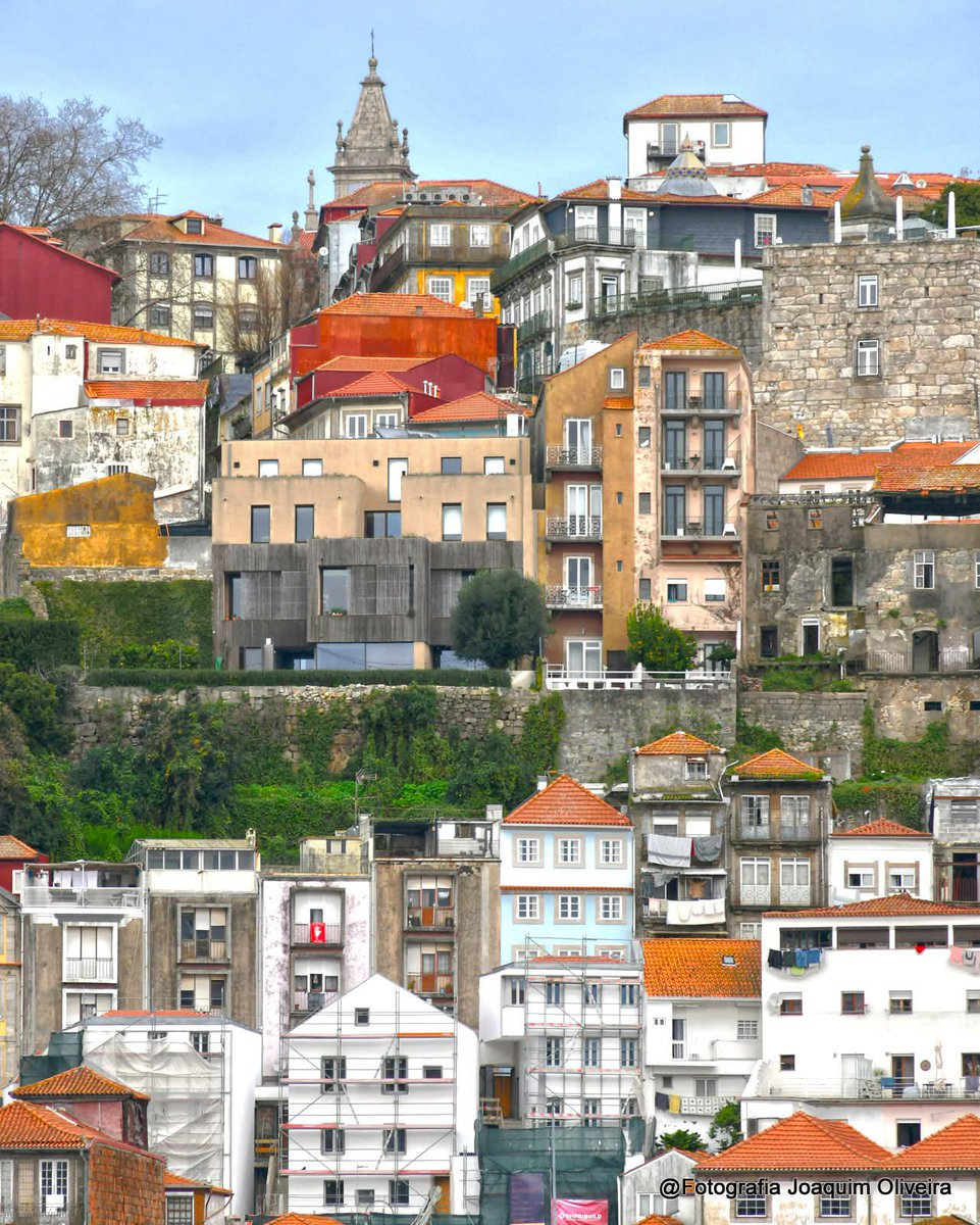 NRI Travelogue tweet media