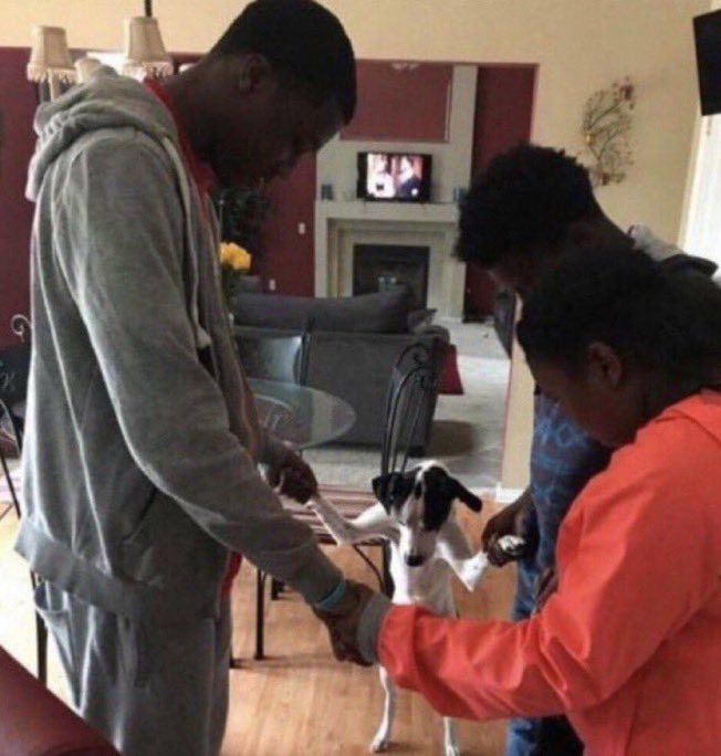 K9 and Shaheed will be Seahawks
K9 and Shaheed will be Seahawks
K9 and Shaheed will be Seahawks
K9 and Shaheed will be Seahawks
K9 and Shaheed will be Seahawks
speak it into existence boys N girls🙏🏻🙏🏻🙏🏻