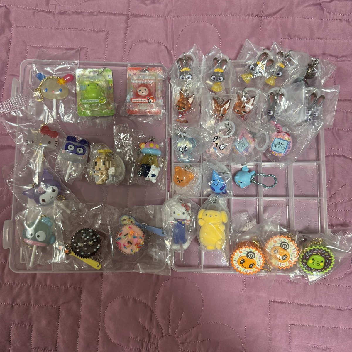 🐶🤍 tweet media