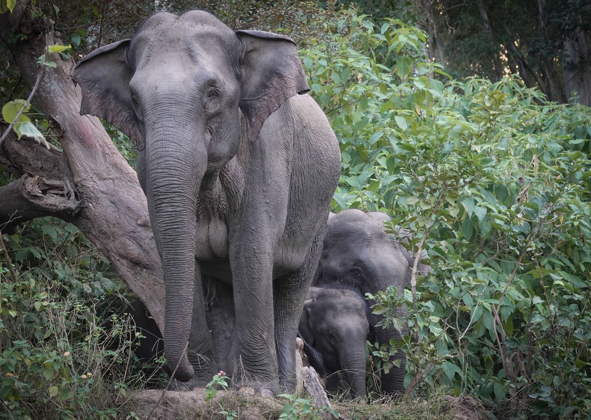 Narendra Modi tweet media