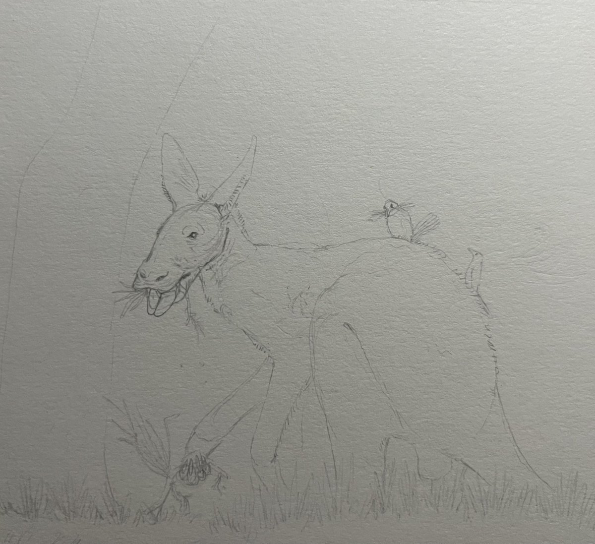 Sly 🏴󠁧󠁢󠁷󠁬󠁳󠁿 tweet media