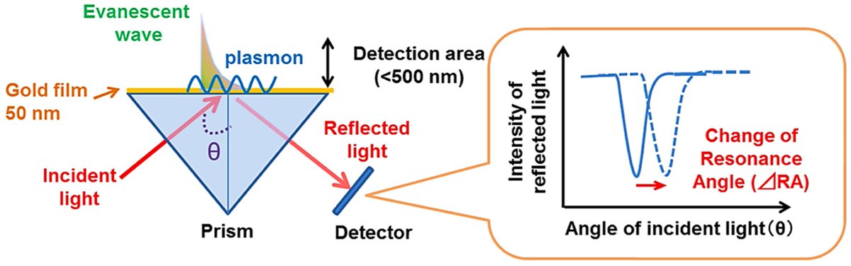 Biosensors_MDPI's tweet photo. 📣Call for Reading:
#Review
Surface Plasmon Resonance-Based Biodetection Systems: Principles, Progress and Applications—A Comprehensive Review
by Muhammad Ali Butt
https://t.co/rXPFvq2GyS
#SurfacePlasmonResonance #SPR #biodetection
#biosensors #mdpi #openaccess https://t.co/9W8WICUb9S