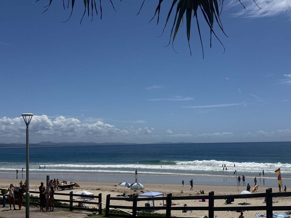 Siena ✨ tweet media