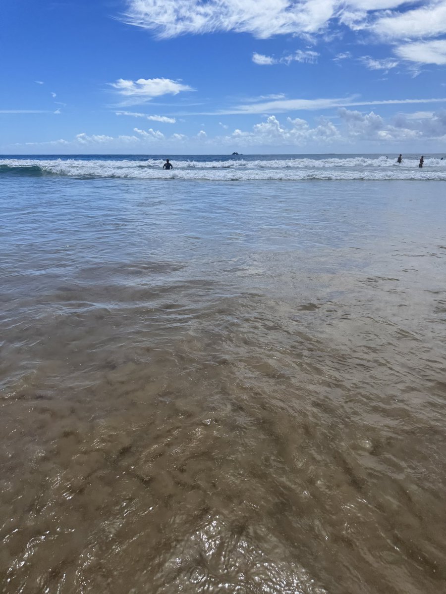 Siena ✨ tweet media