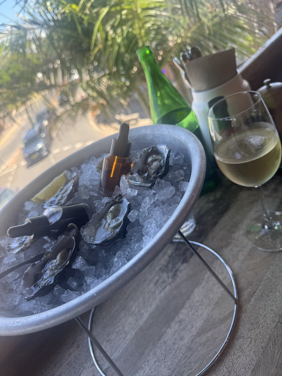 Siena ✨ tweet media