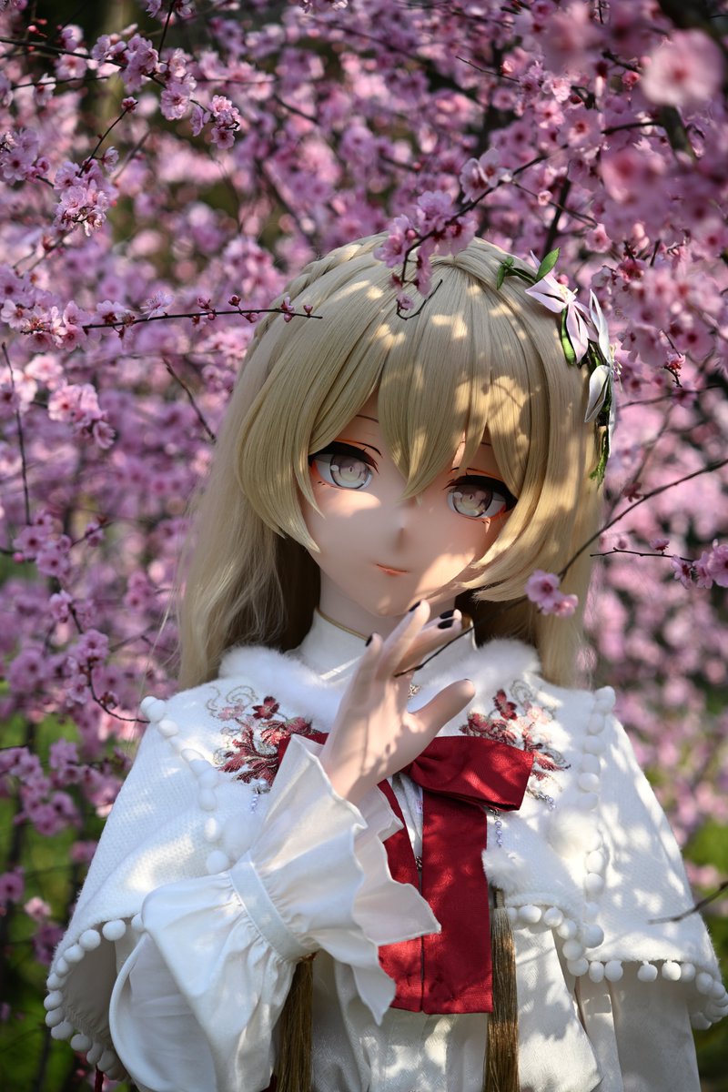 麋鹿迷路 tweet media