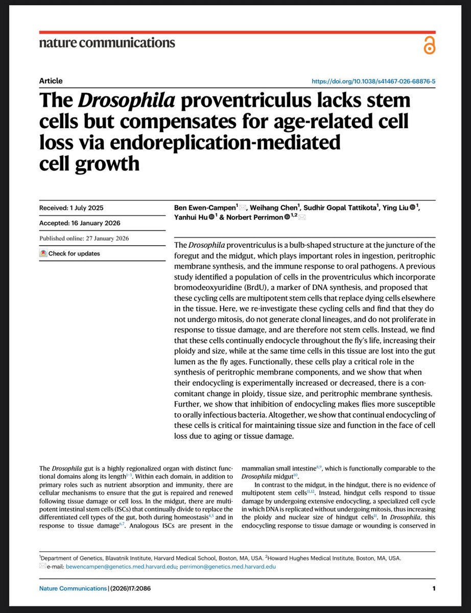 Ben Ewen-Campen tweet media