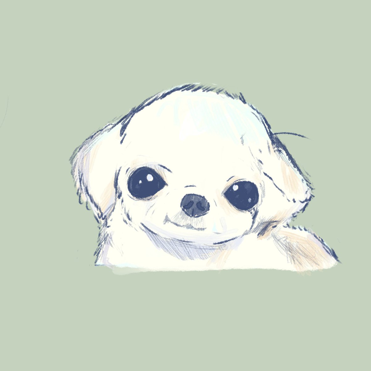 _xslindt_'s tweet photo. practicando dibujar perros cejones #dibujo #perrocejon https://t.co/D9ChyIFZQT