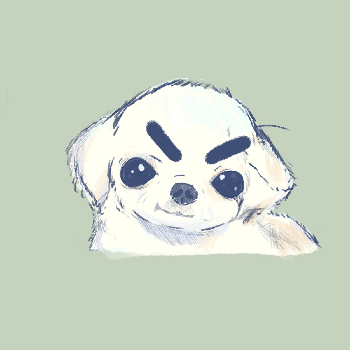 _xslindt_'s tweet photo. practicando dibujar perros cejones #dibujo #perrocejon https://t.co/D9ChyIFZQT