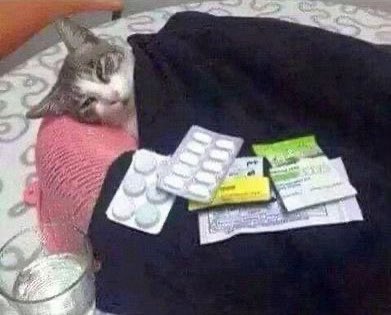 Actual photo of me being sick as fuck