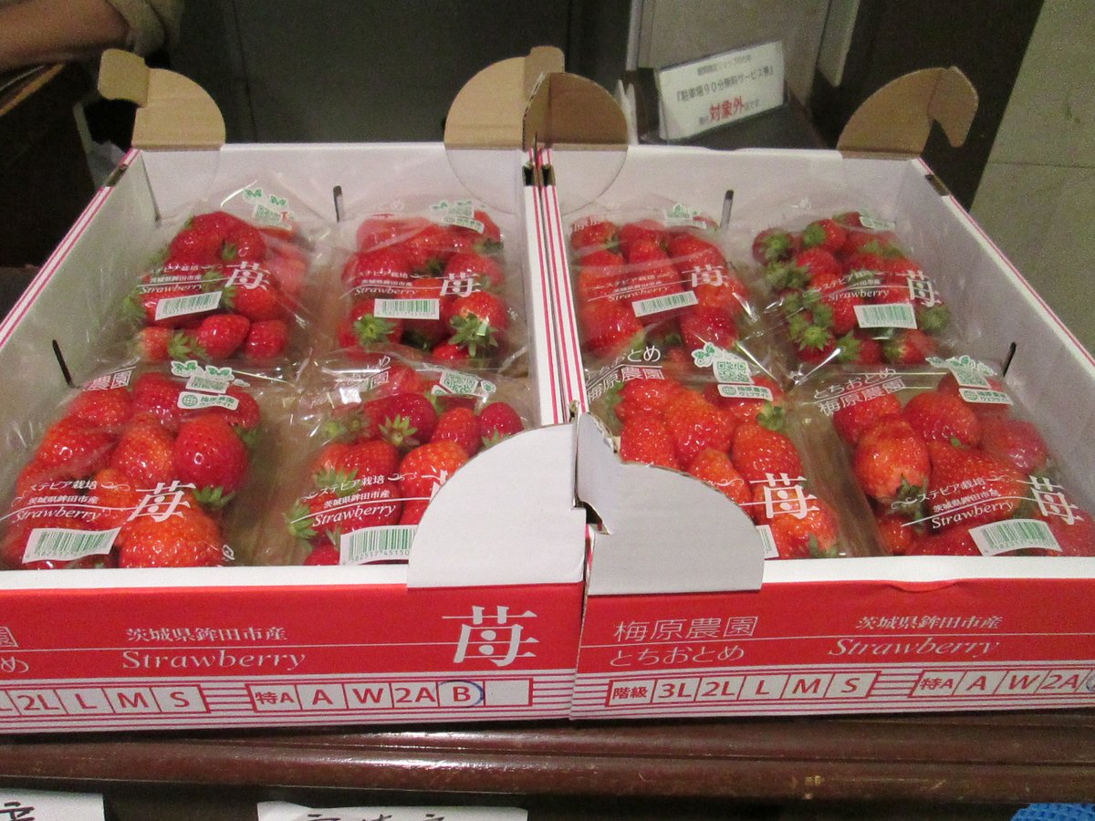 TFTビル【公式】 tweet media