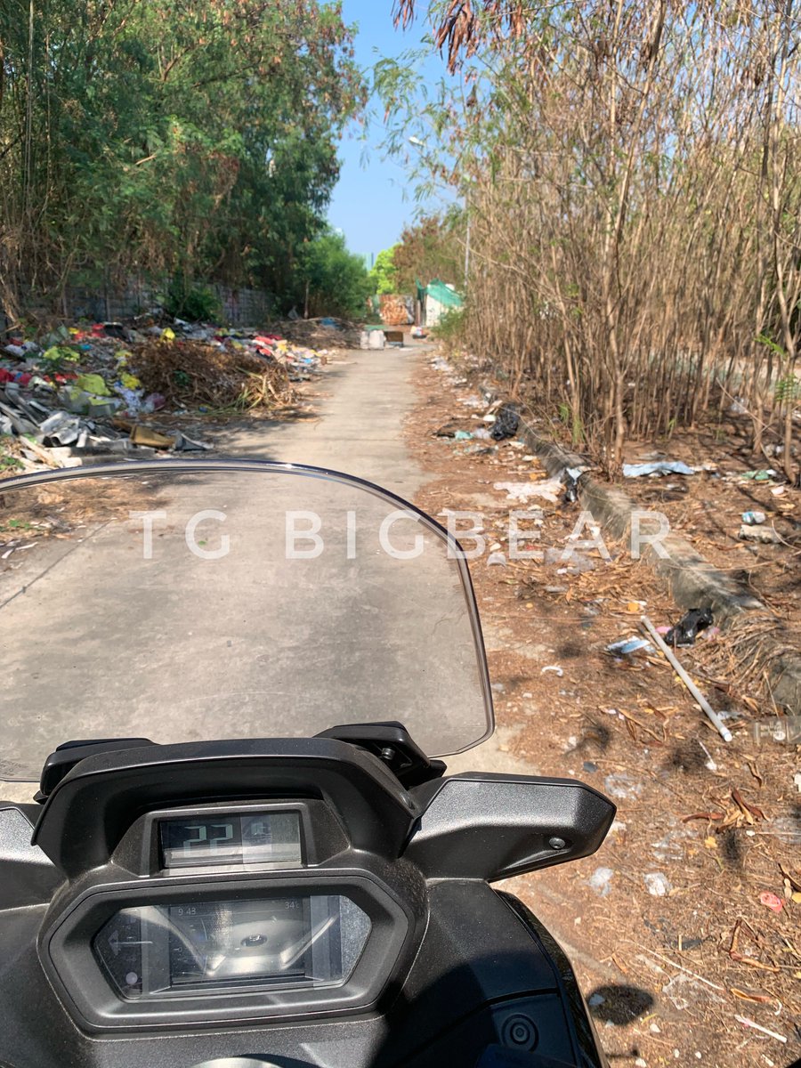 TG BIGBEAR tweet media