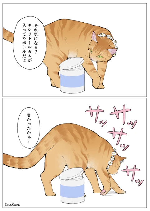 砂を掛けたい茶トラ猫くん 