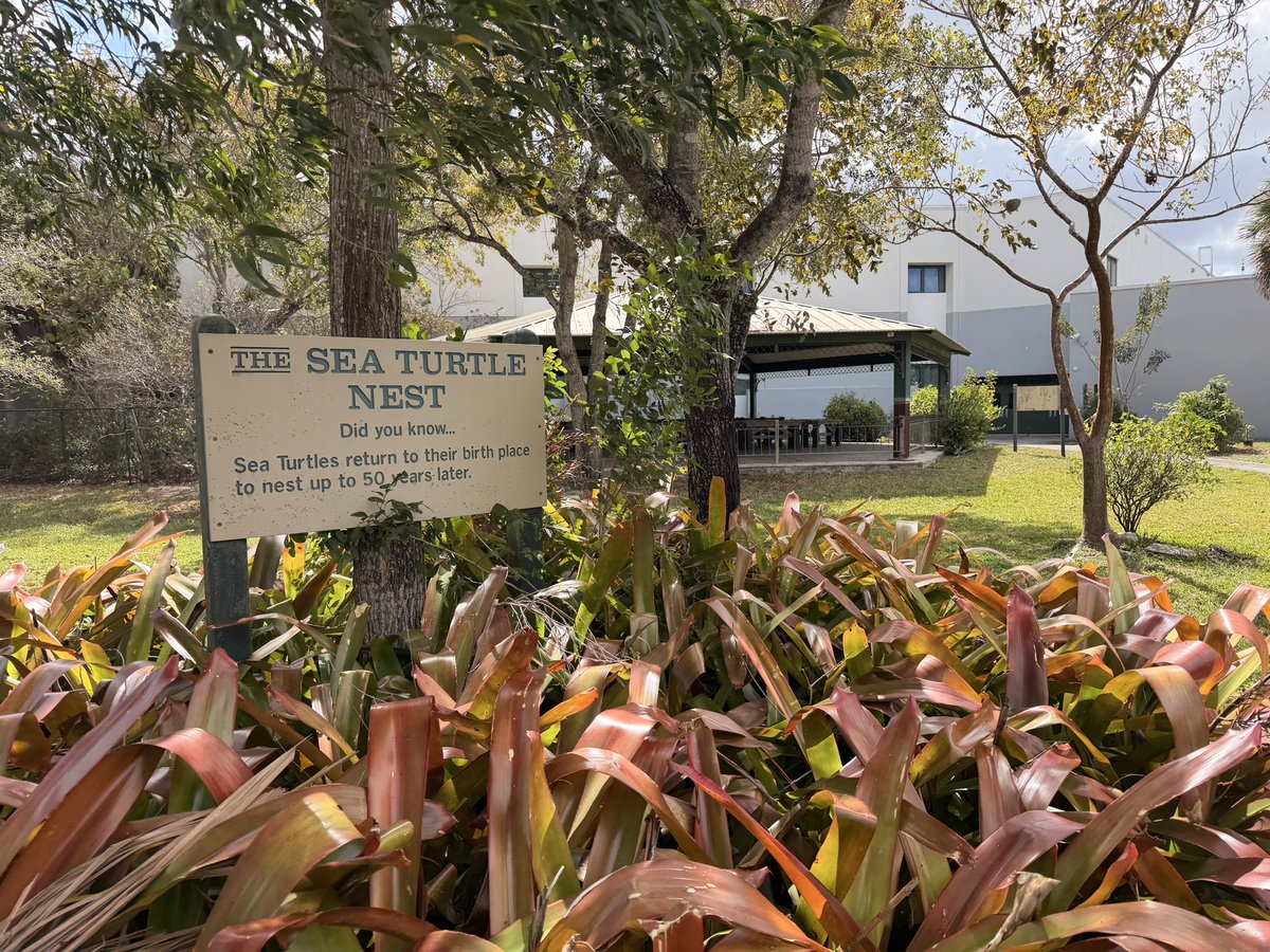 Dr. Kassandra Fried tweet media