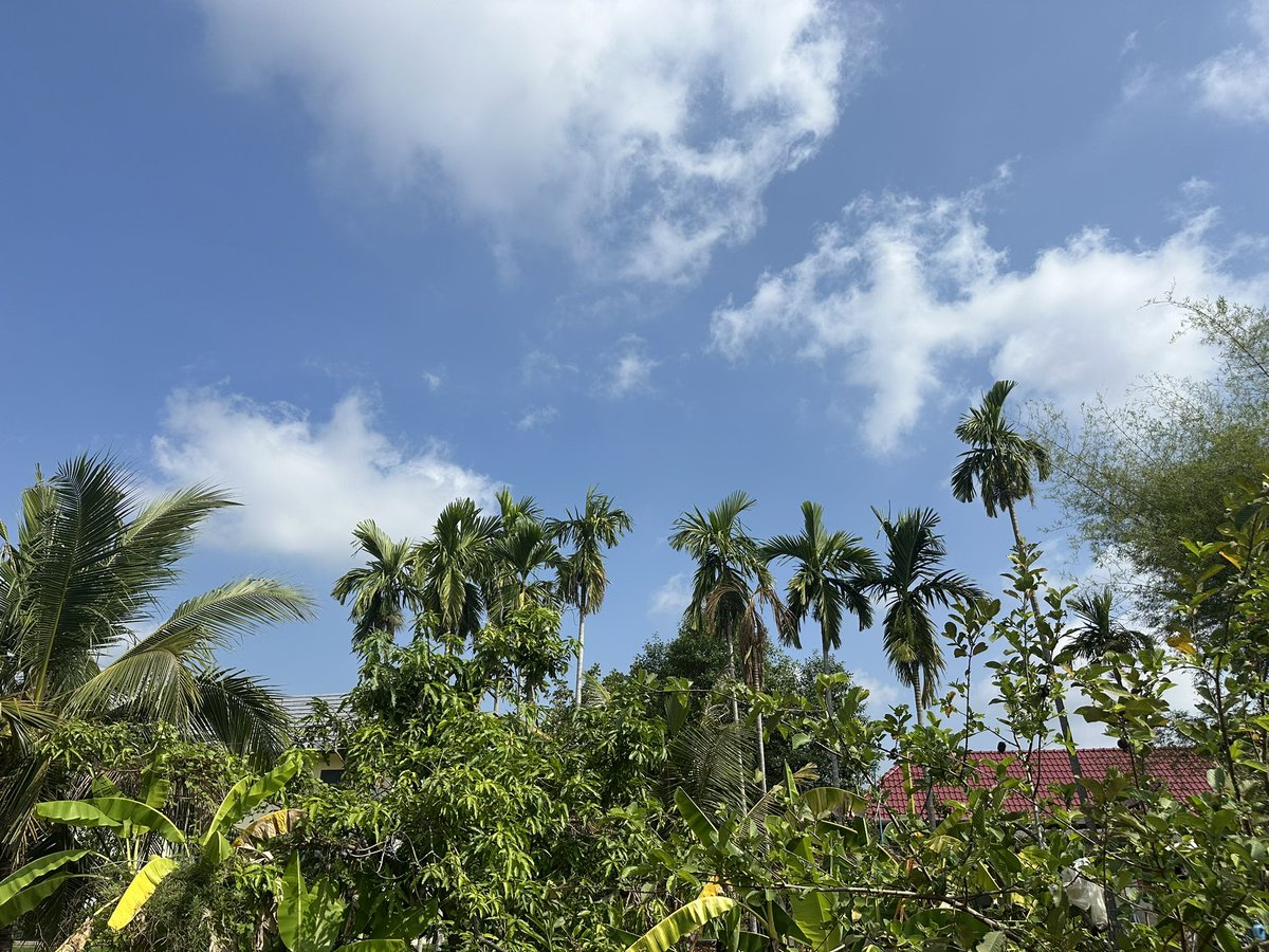 Dave's Travel Corner tweet media