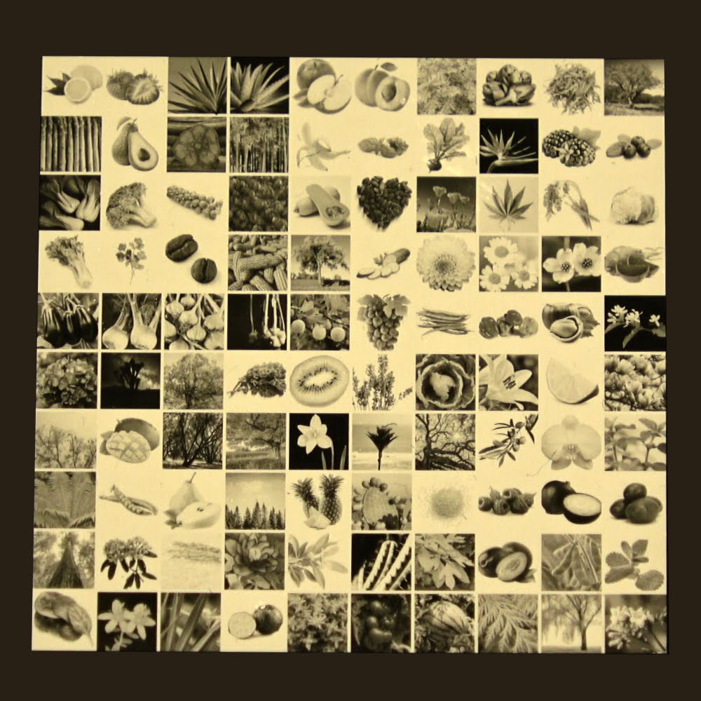 Ben Haldeman tweet media