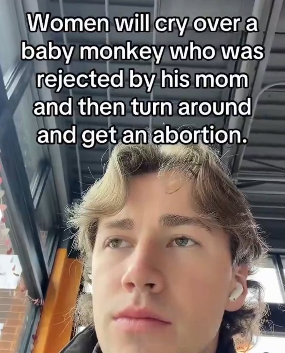 Tiffany Fong tweet media