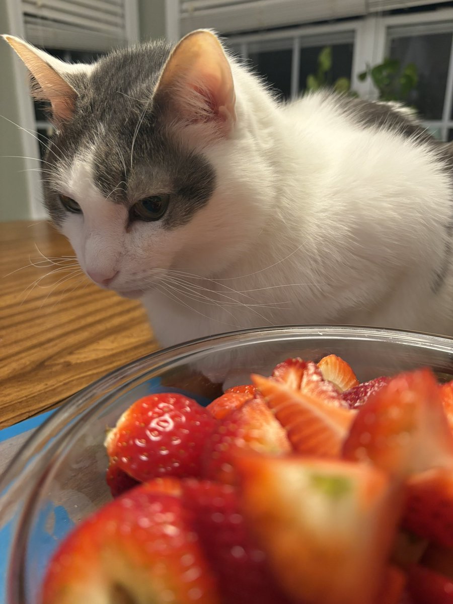 butterbean official tweet media