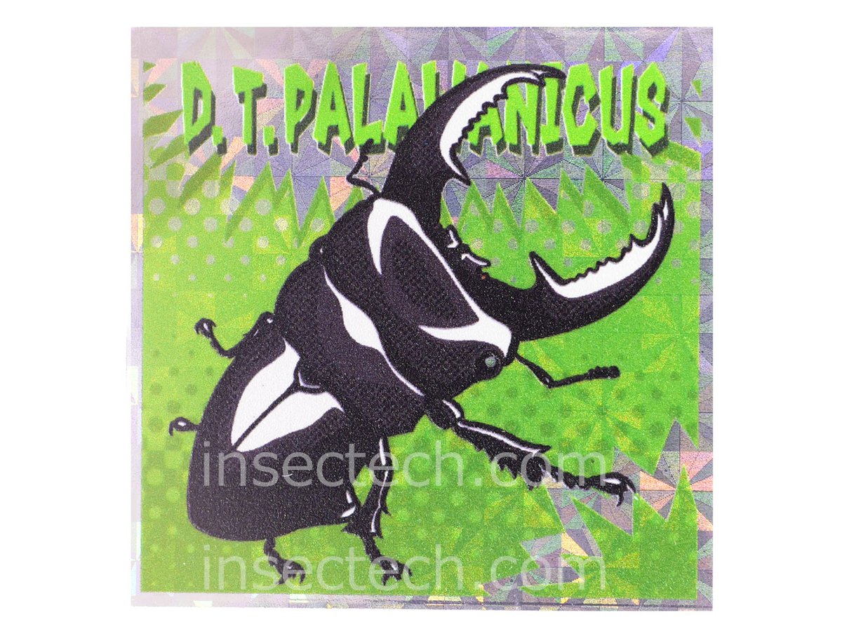 新商品】 駄画紙屋むしーる @aoma_mushino85 パラワンオオ