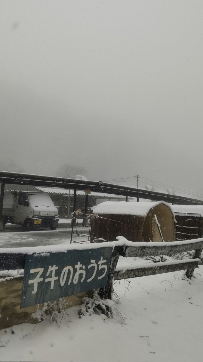 神津牧場【公式】 tweet media