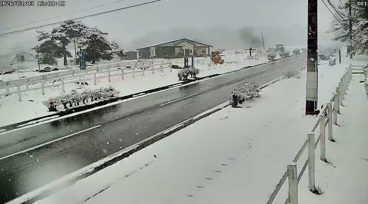 ライブカメラDB (@livecam_db) / Posts / X