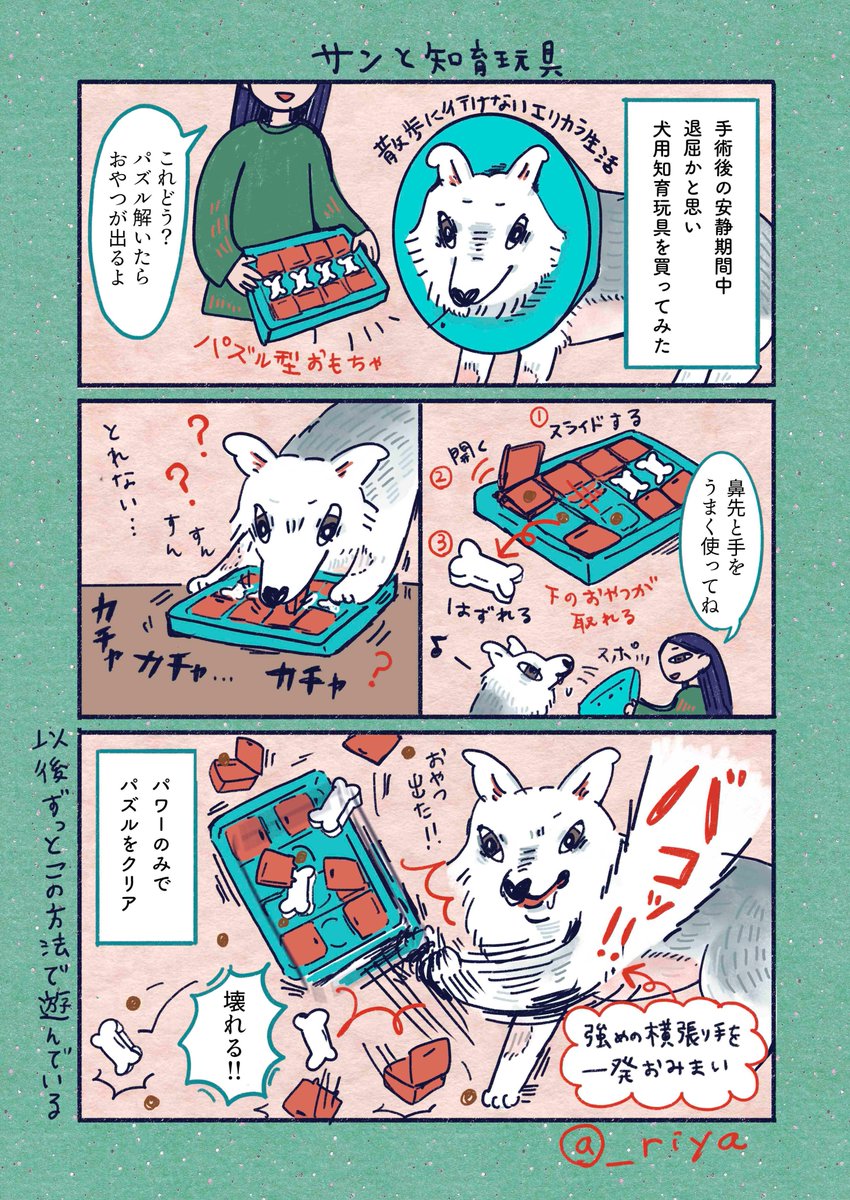 riya / 書籍「おおかみいぬのサン」3/31発売 tweet media