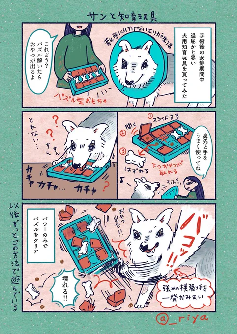 おおかみいぬのサン🐺
「サンと知育玩具」

楽しいならもうそれでいいけどさ 