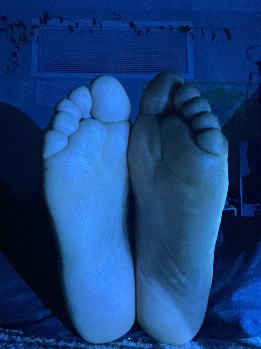 pj sole lover tweet media