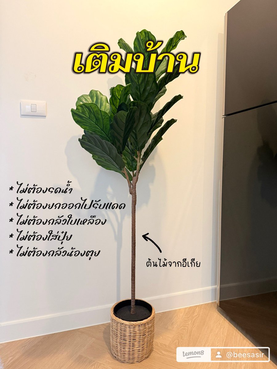ssrchb's tweet photo. ตะกร้าหวายใส่กระถาง ใส่ของ แต่งบ้านง่าย เข้ากับทุกมุมบ้าน

📌 https://t.co/e8MNIw8dLz

#ต้นไม้แต่งห้อง #แต่งบ้าน #แต่งห้อง https://t.co/81mbvFItEC