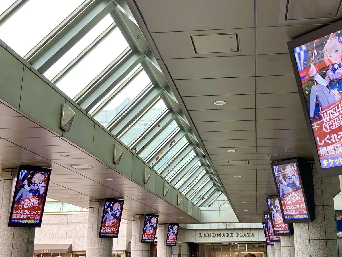 しぐれうい公式info tweet media