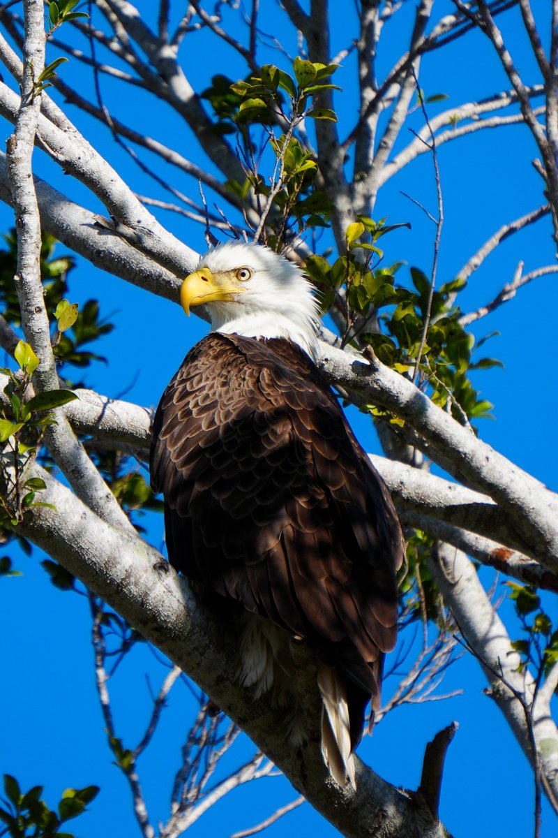 Mason Zaccarine tweet media