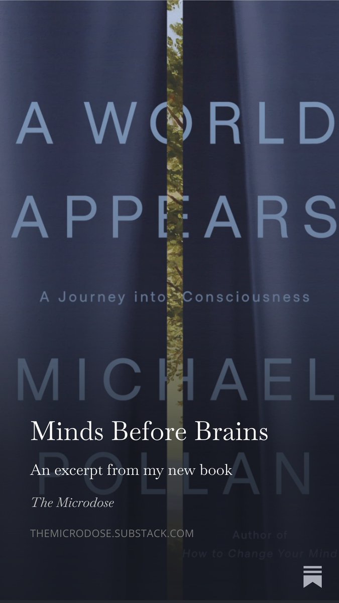 UC Berkeley Center for the Science of Psychedelics tweet media