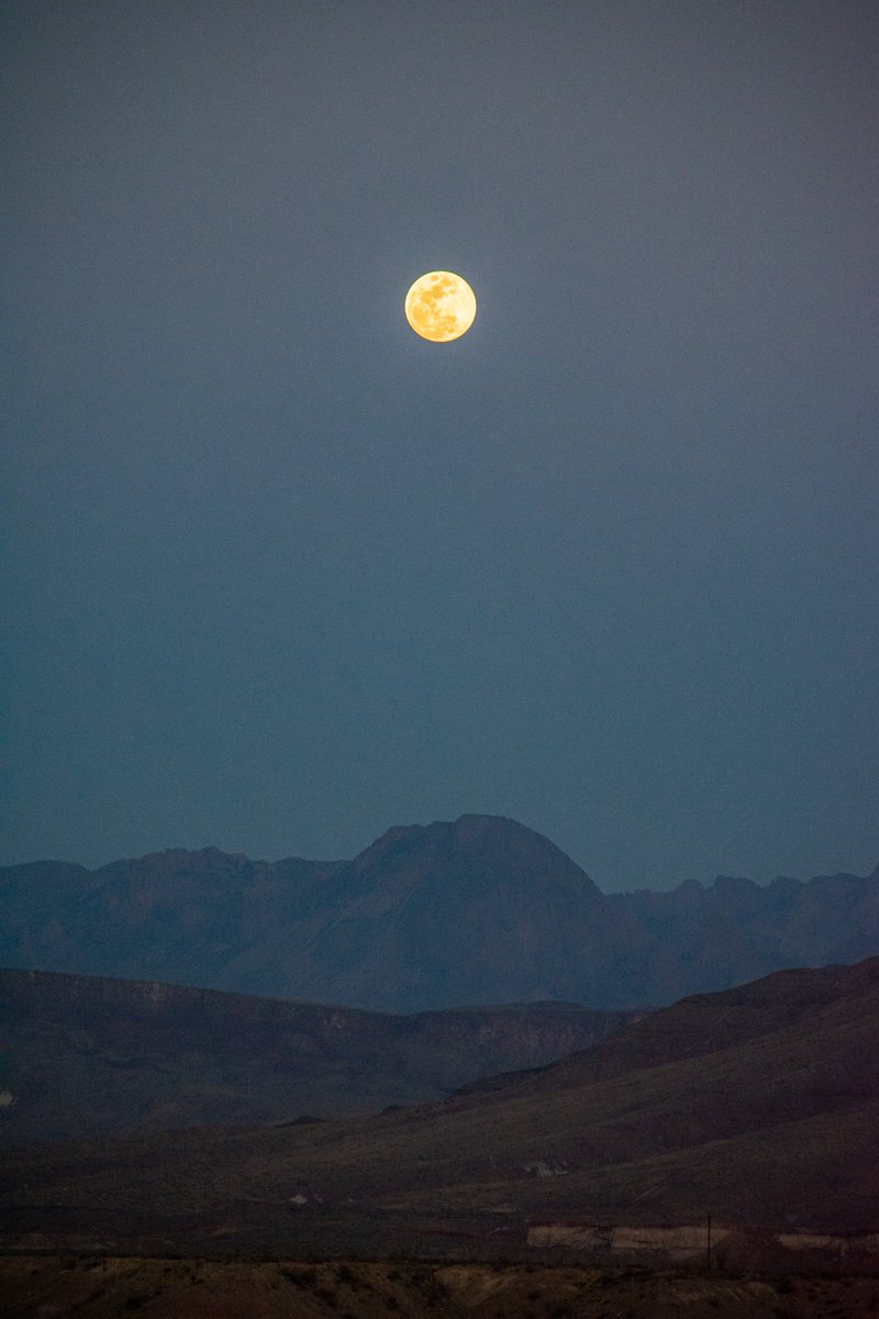 TylerG1998's tweet image. Chisos Moonrise. 🏜️🌕

T-8 hours to totality.

#LookUp 🔭✨