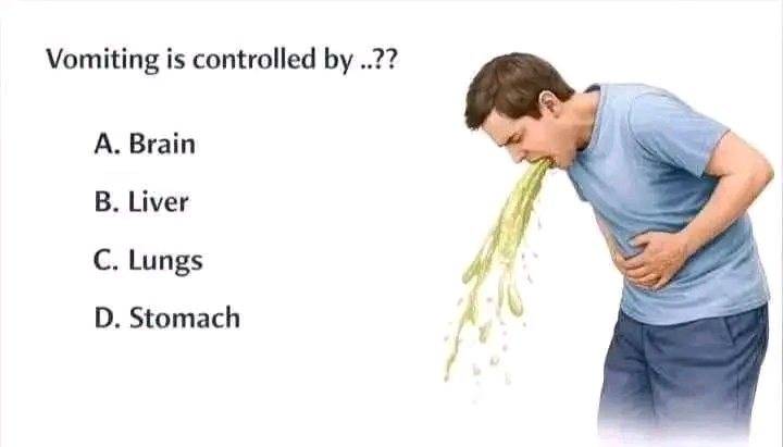 UPSC & PCS NOTES tweet media