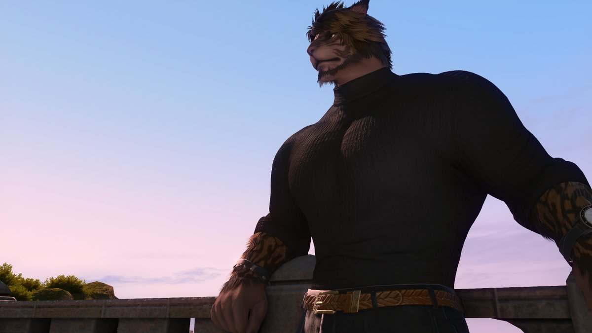 Treu Sunglasses tweet media