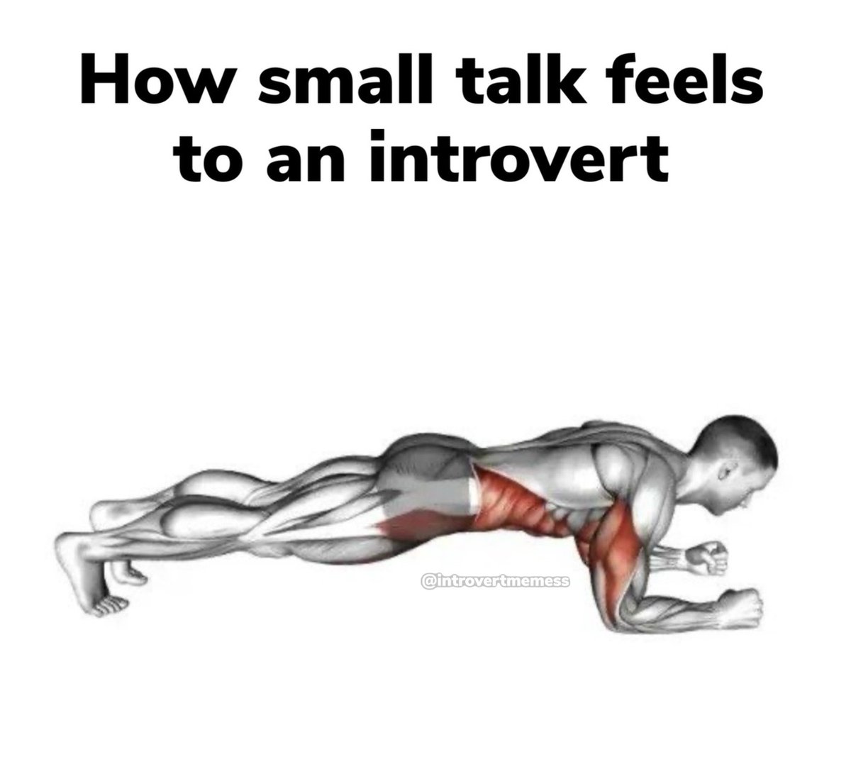 All About Introverts tweet media