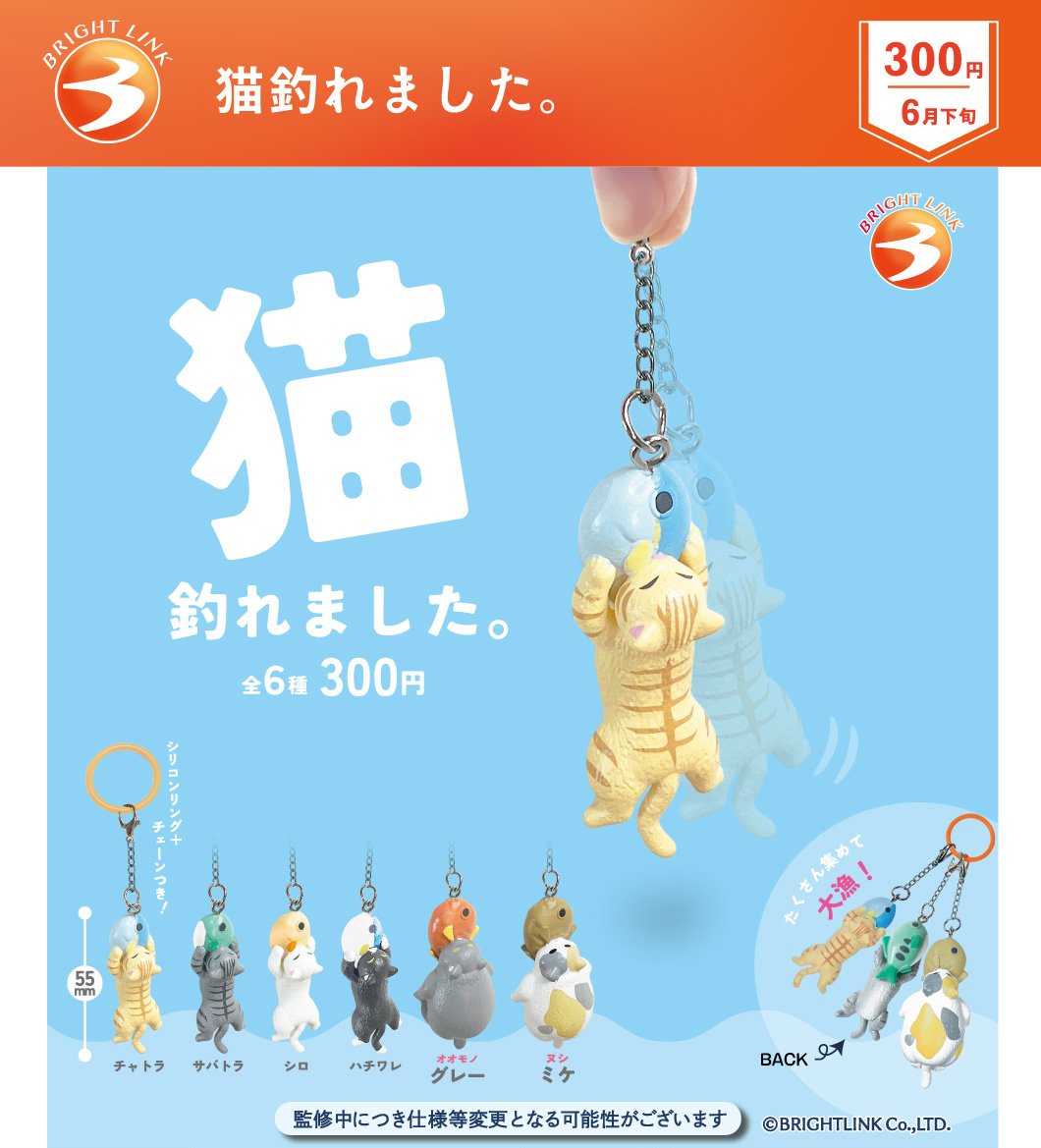 最新情報／ 6月発売予定商品② 【猫釣れました。】 魚を釣ったら猫まで