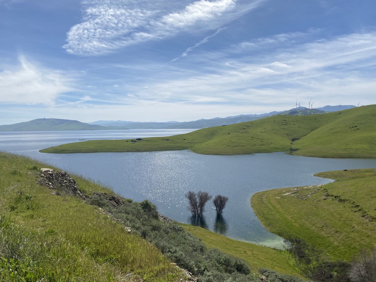 My country California