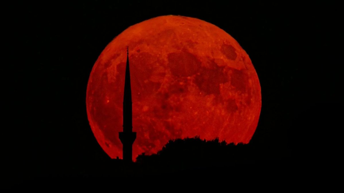 🚨ALERTA ASTRONÓMICA🚨
Empieza la cuenta regresiva para la Luna de sangre; será visible en gran parte del mundo