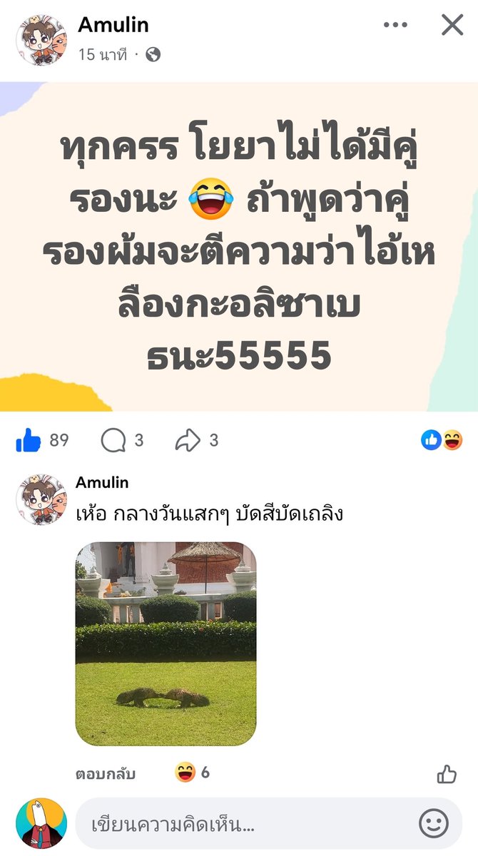ปลาไหลปิ้งโหนสลิงตีลังกา tweet media