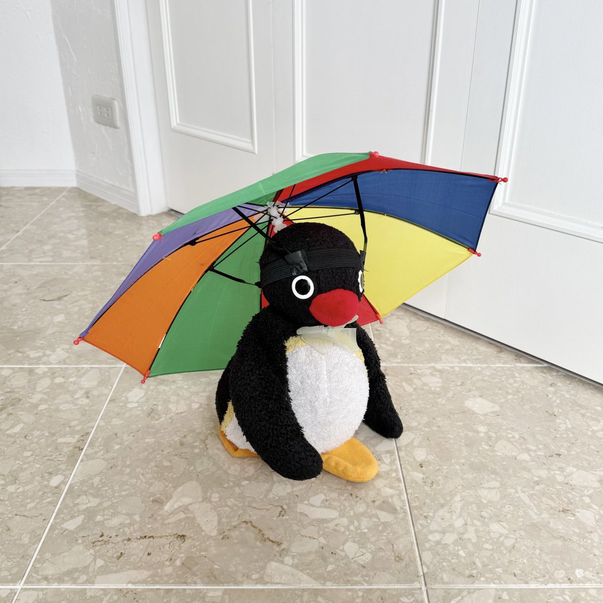 pingmyping tweet media