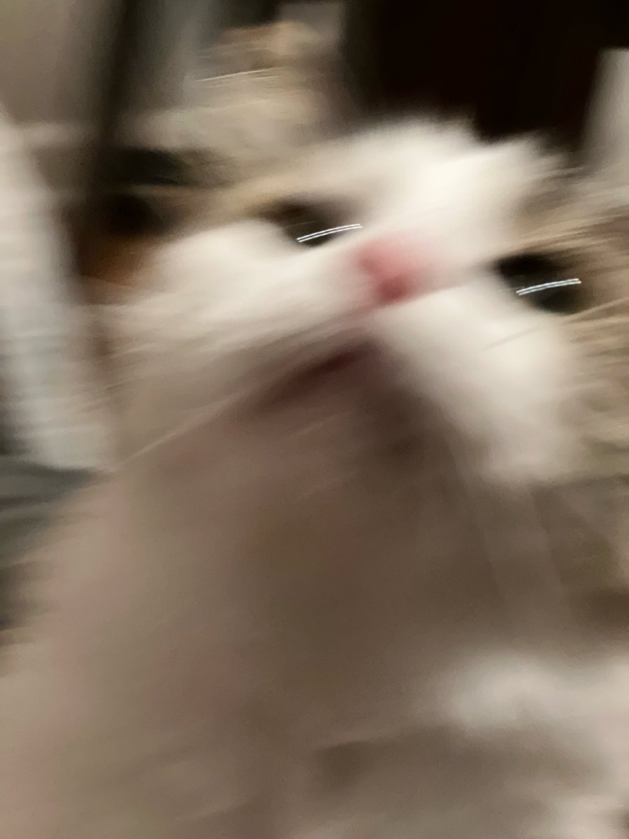 Medi 🐍🩸| HIATUS tweet media